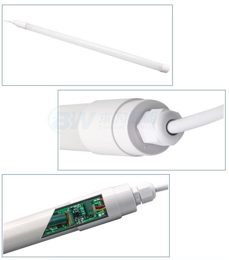 light in chicken coop at night