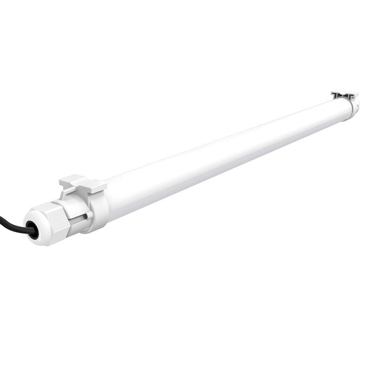 lights for chickens laying