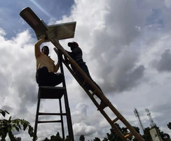 info-244-202 info-244-202