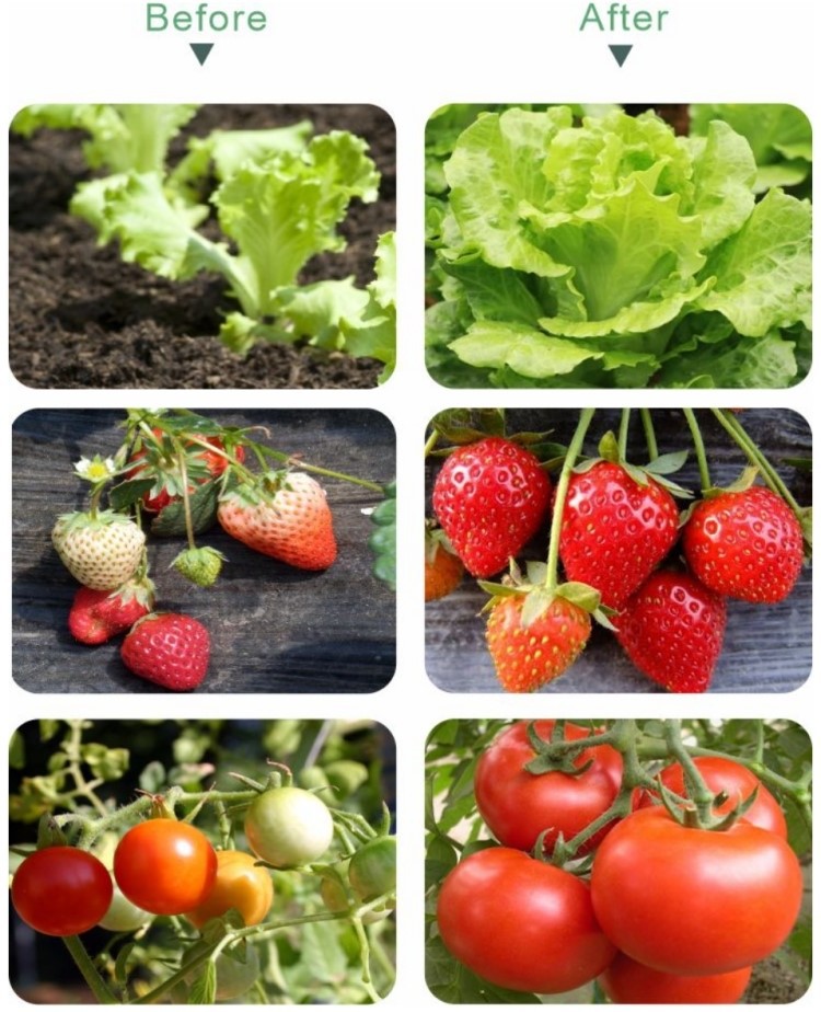 grow lighting for seed starting grow lighting for seed starting