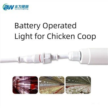 Paristokäyttöinen lamppu Chicken Coopille