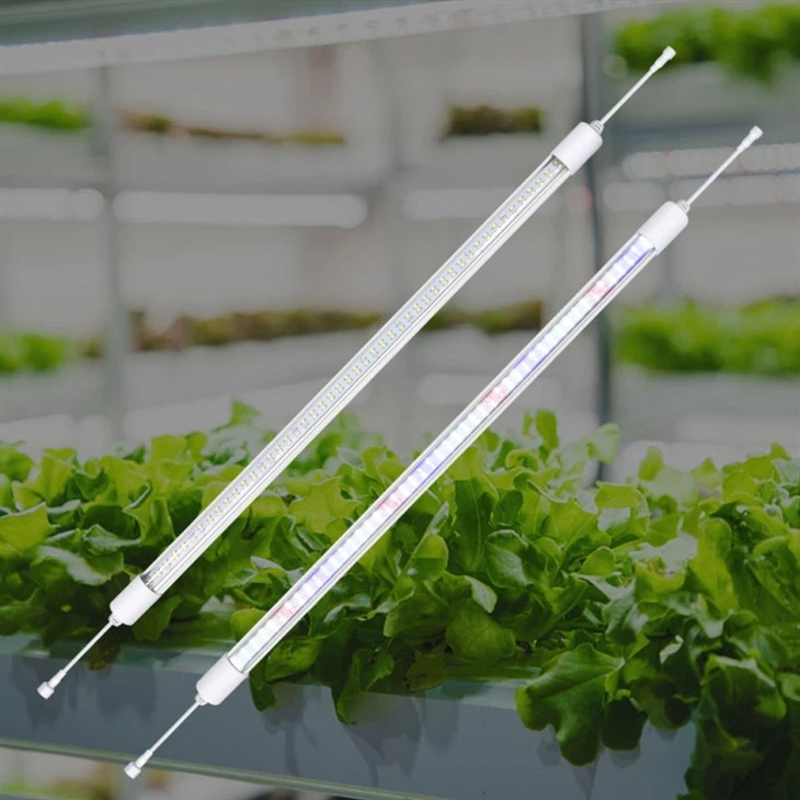 Greenhouse Lights For Winter