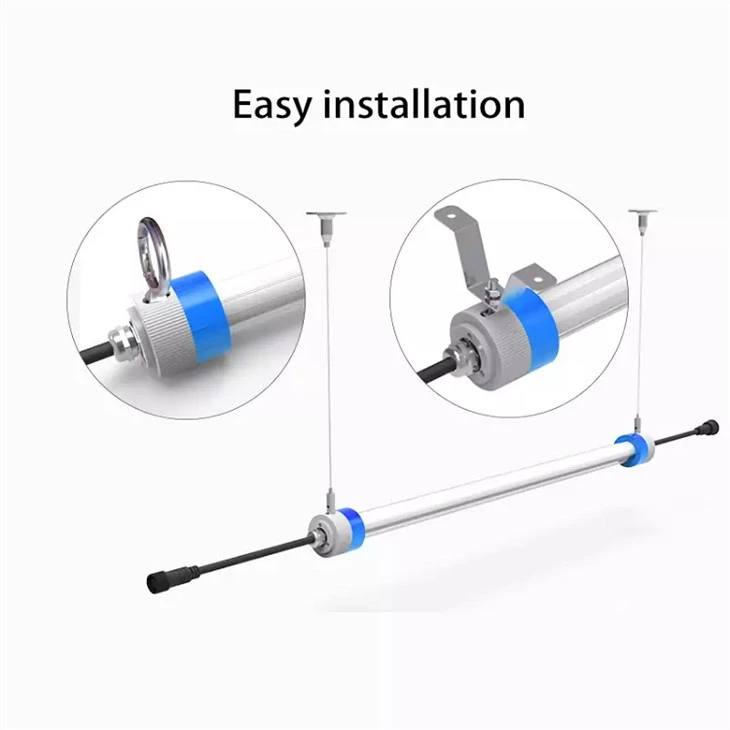 broiler poultry lighting