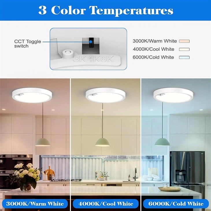 Motion Sensor Ceiling Light 1