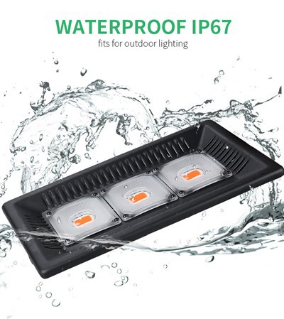 150 W LED COB Grow Light