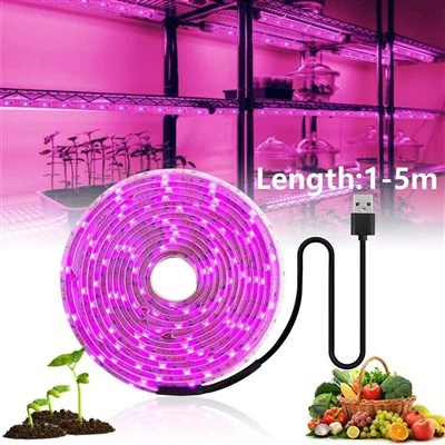Solar Grow valot ulkokasveille