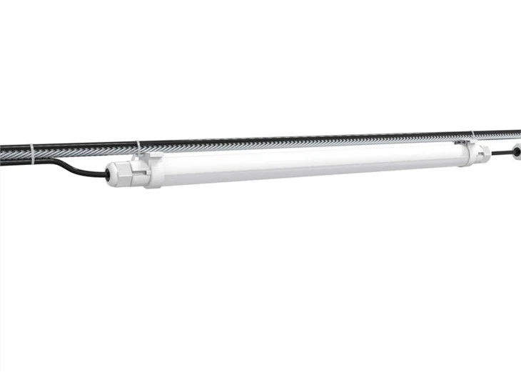 lighting for broilers