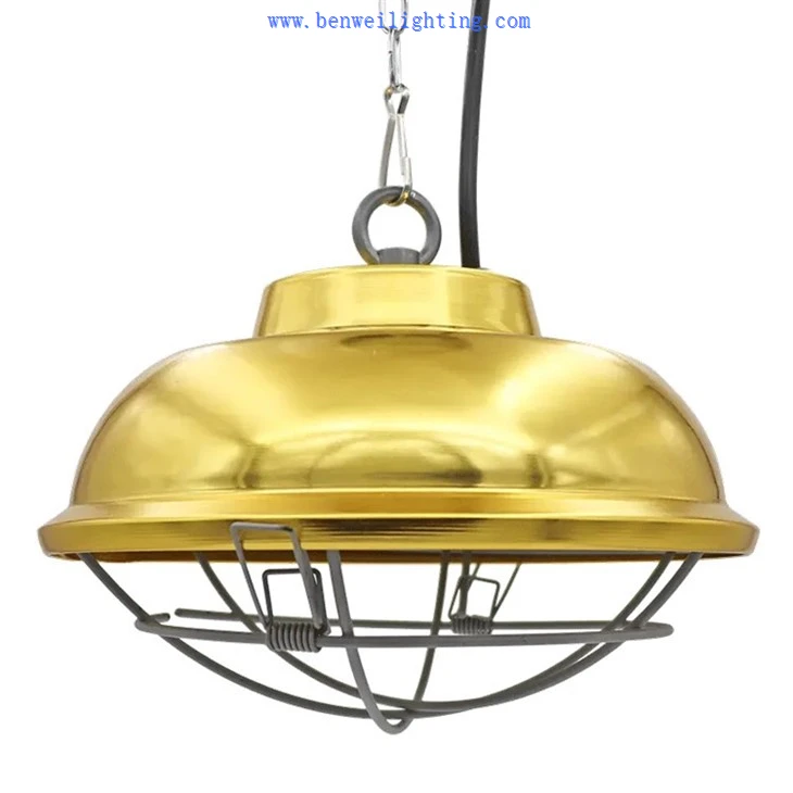 60CM Poultry Light