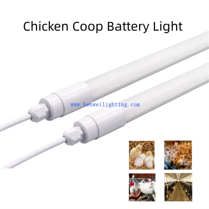 chicken coop battery light