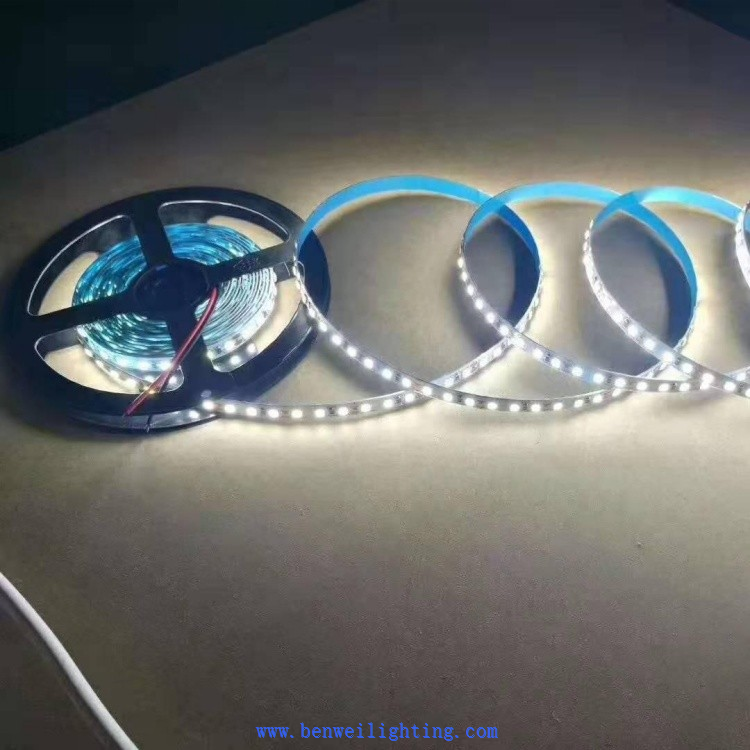 Monochrome And Color LED Light Strips