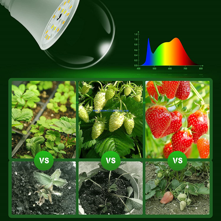 11W Grow Bulb Red Blue3 11W Grow Bulb Red Blue3