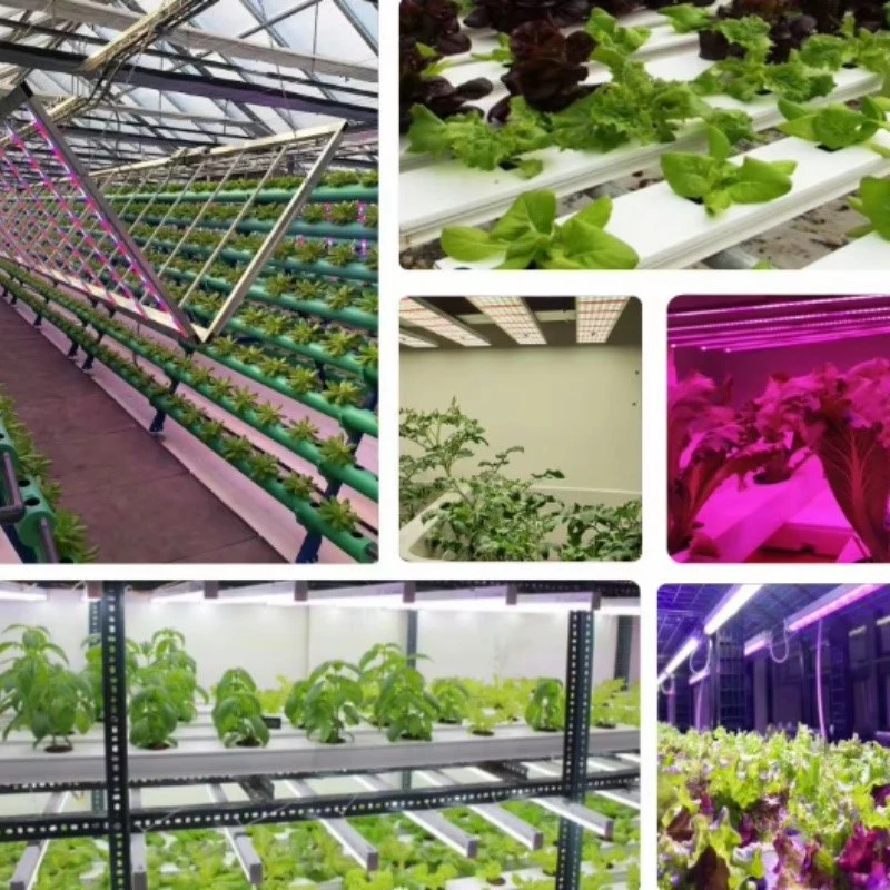 Adjustable Spectrum Tuning Led Grow Lighting Adjustable Spectrum Tuning Led Grow Lighting