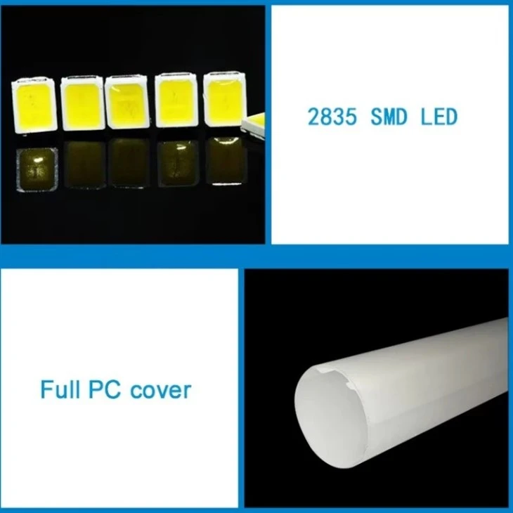 T8 LED Indoor Tube Light suppliers